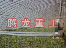 大棚花卉供暖設(shè)備、大棚卉采暖設(shè)備、大棚花卉取暖設(shè)備