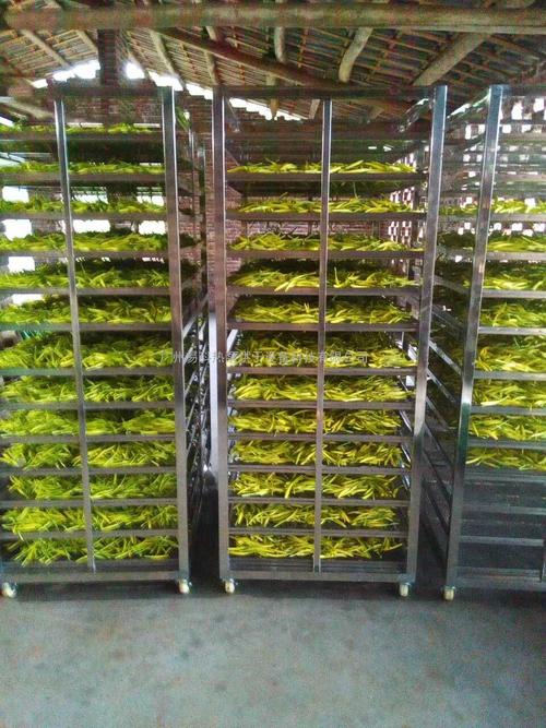 黃花菜烘干機、黃花菜烘干設備、黃花菜干燥機、黃花菜干燥設備、